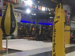 -鲨石格斗联盟(双井店)