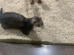 -昆明大悦城未来动物城(螺蛳湾中心店)