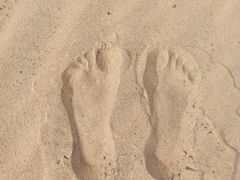 -金沙湖旅游度假区