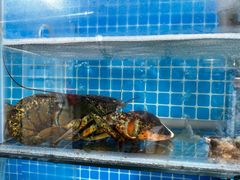 -宾朋海鲜饭庄(兴海路店)