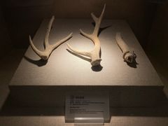 -南越王博物院(王宫展区)