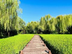 -北坞公园