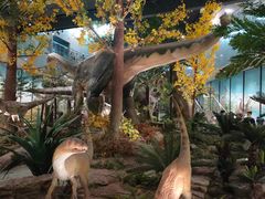 -湖南省地质博物馆