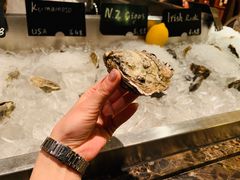 -Oyster Talks 四度蚝法餐厅