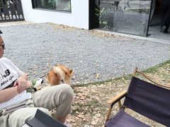 -J Create城市露营咖啡·简餐·宠物(上海动物园店)