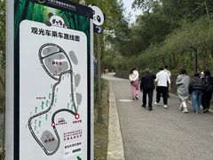 -都江堰中华大熊猫苑