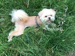 -白鹭湾湿地公园