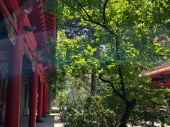 -哈尔滨极乐寺