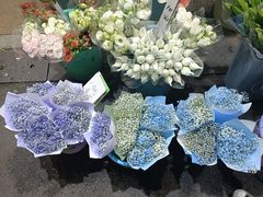 -循礼门鲜花花市(武汉循礼门店)