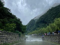 -牛背梁国家森林公园