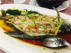 清蒸鳊鱼-围龙屋客家食府(福田店)