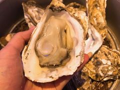 -千岛蚝高压锅生蚝·人参火锅(白云万达店)