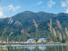-海南热带雨林国家公园吊罗山景区