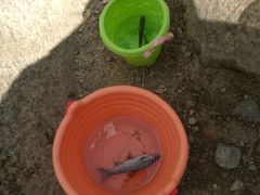 -碓臼峪自然风景区