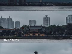 -江心屿景区