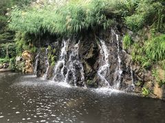 -灵山