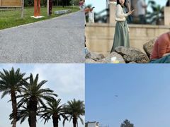 -宝安西湾红树林湿地公园