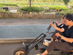 -季高兔窝窝亲子园(上海薰衣草公园店)