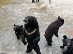 -西安秦岭野生动物园