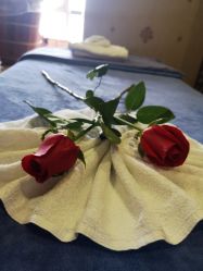 -蓝丝带产后恢复中心(南宁店)