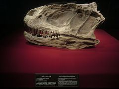 -自贡恐龙博物馆