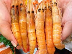 -Mr.Fish鱼鲜生海鲜放题(高德置地冬广场店)