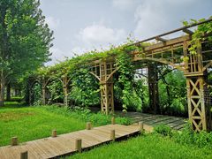 -北京张裕爱斐堡酒庄