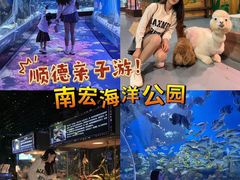 -顺德南宏海立方海洋公园