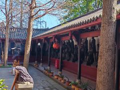 -黄龙溪古镇-古龙寺