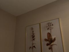 -艺水间水汇