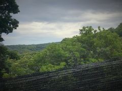 -西山樟坞健康果园枇杷杨梅采摘