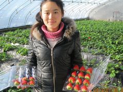 -杨柳青园艺科技博览园