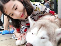 -TrueLove @ Neverland (Husky Cafe)