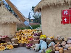 -中国天府农业博览园