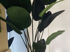 -新紫霞养生·影院足道·SPA(金山区店)