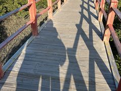 -北海金海湾红树林生态旅游区