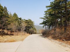 -北京西山国家森林公园