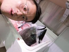 -大起水产回转寿司(道顿堀店)