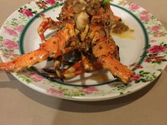 -Red Lobster