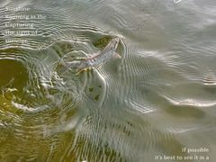 -马家湾湿地公园