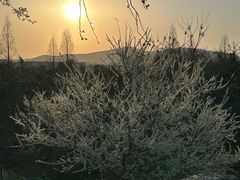 -苏沐堂全息足浴·SPA·按摩(万科美好广场店)