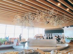 -Seesaw Coffee(朝阳大悦城店)