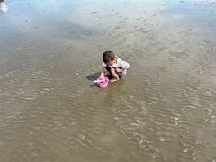 -碧海金沙