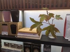 -Manner Coffee(大宁国际商业广场店)