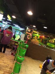 -卡通尼·Safari非洲探索乐园·生日会(金桥国际商业广场店)