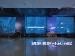 -乐从天佑城海洋馆