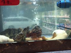 水产区-501號台州海鲜餐厅(海创园店)