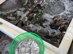 -西归浦每天偶来市场