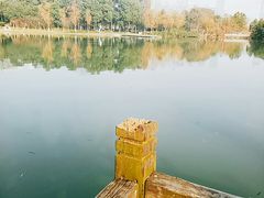 -天鹅湖体育公园