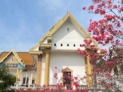 -报恩禅寺